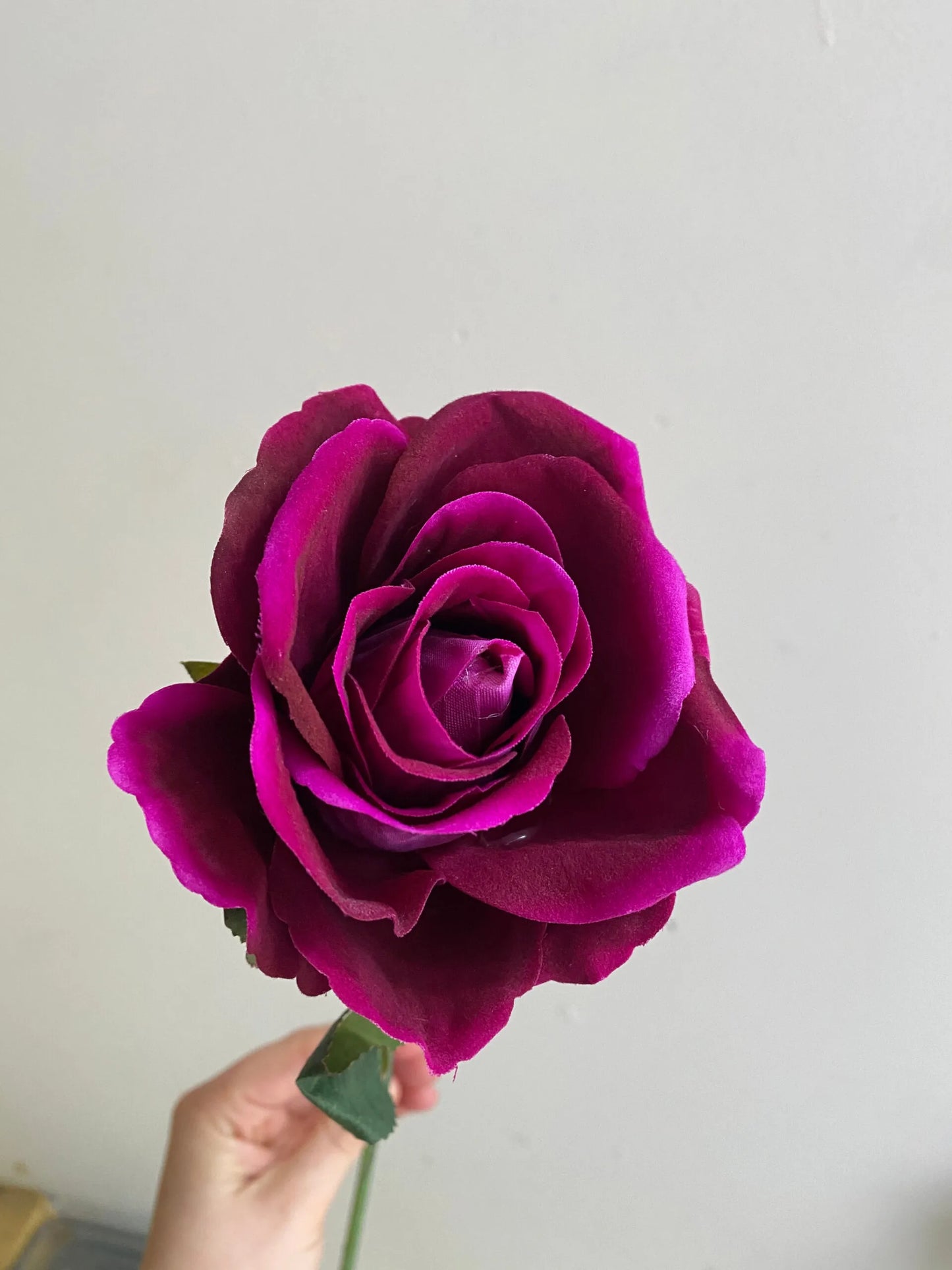 FUCHSIA SINGLE STEM VELVET ROSE