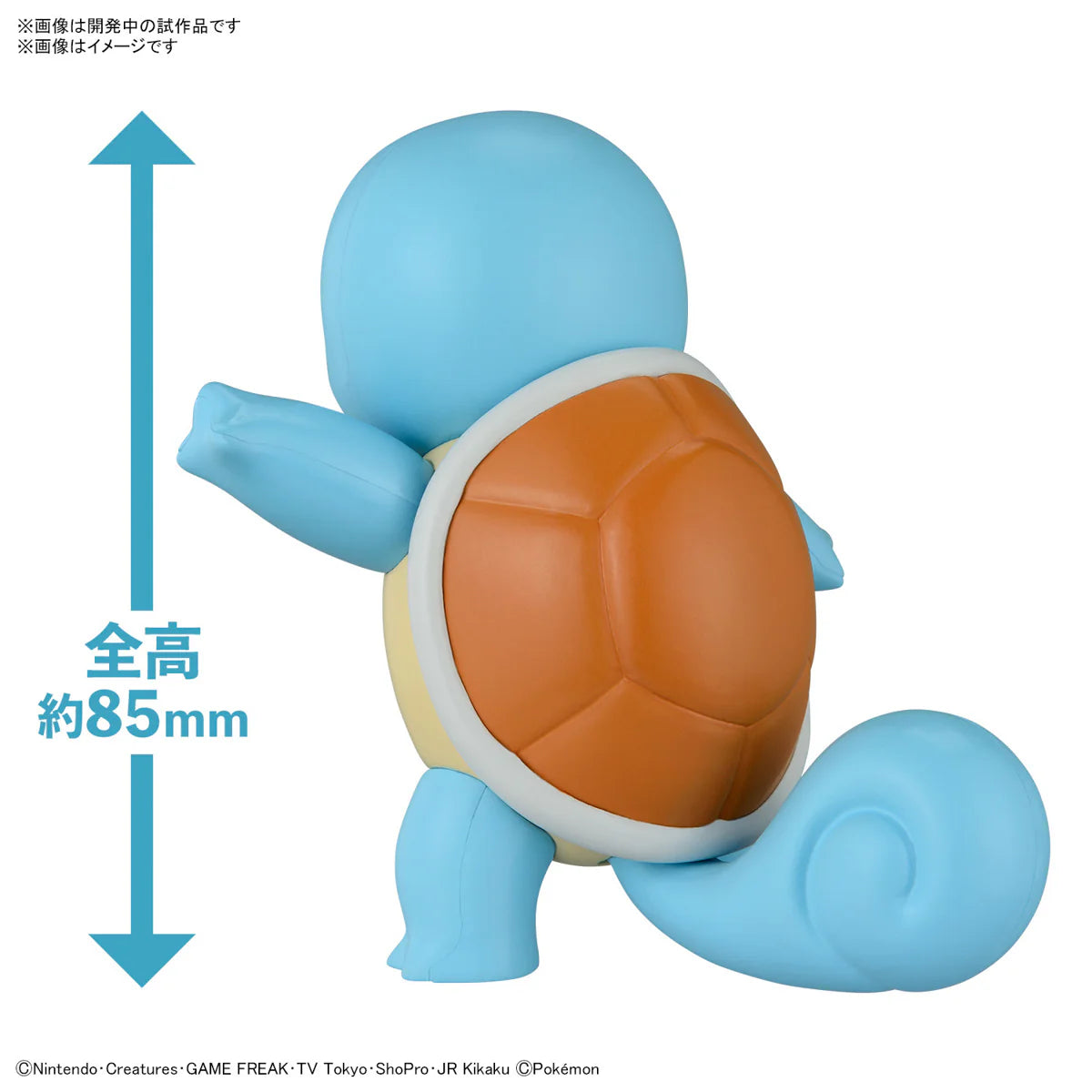 POKEMON MODEL KIT QUICK!! 17 SQUIRTLE