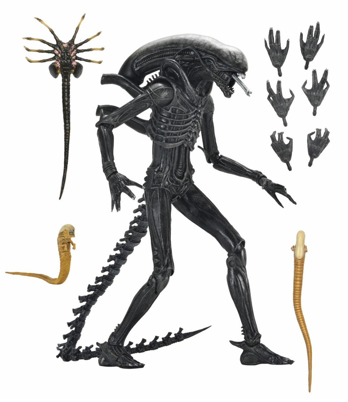 NECA Alien: Romulus Ultimate Xenomorph XX121