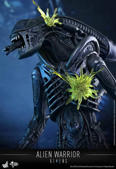Aliens Alien Warrior Sixth Scale Figure by Hot Toys MMS354
