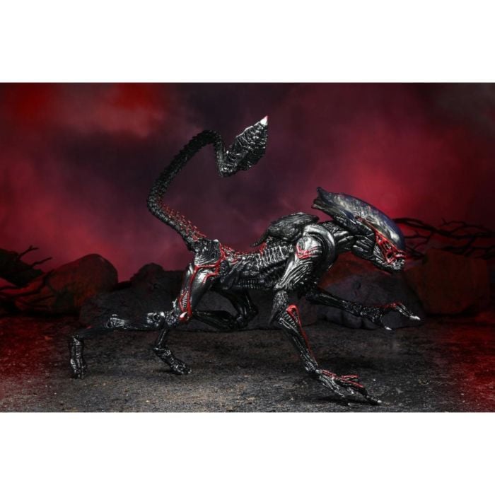Aliens - Night Cougar Alien Kenner Tribute Ultimate 7” Scale Action Figure