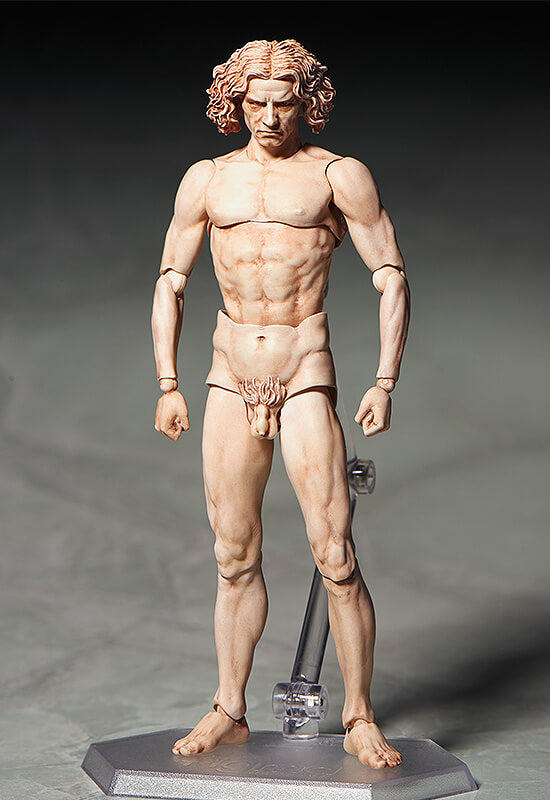 THE TABLE MUSEUM figma Vitruvian Man (2nd re-run)