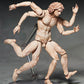 THE TABLE MUSEUM figma Vitruvian Man (2nd re-run)