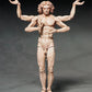 THE TABLE MUSEUM figma Vitruvian Man (2nd re-run)