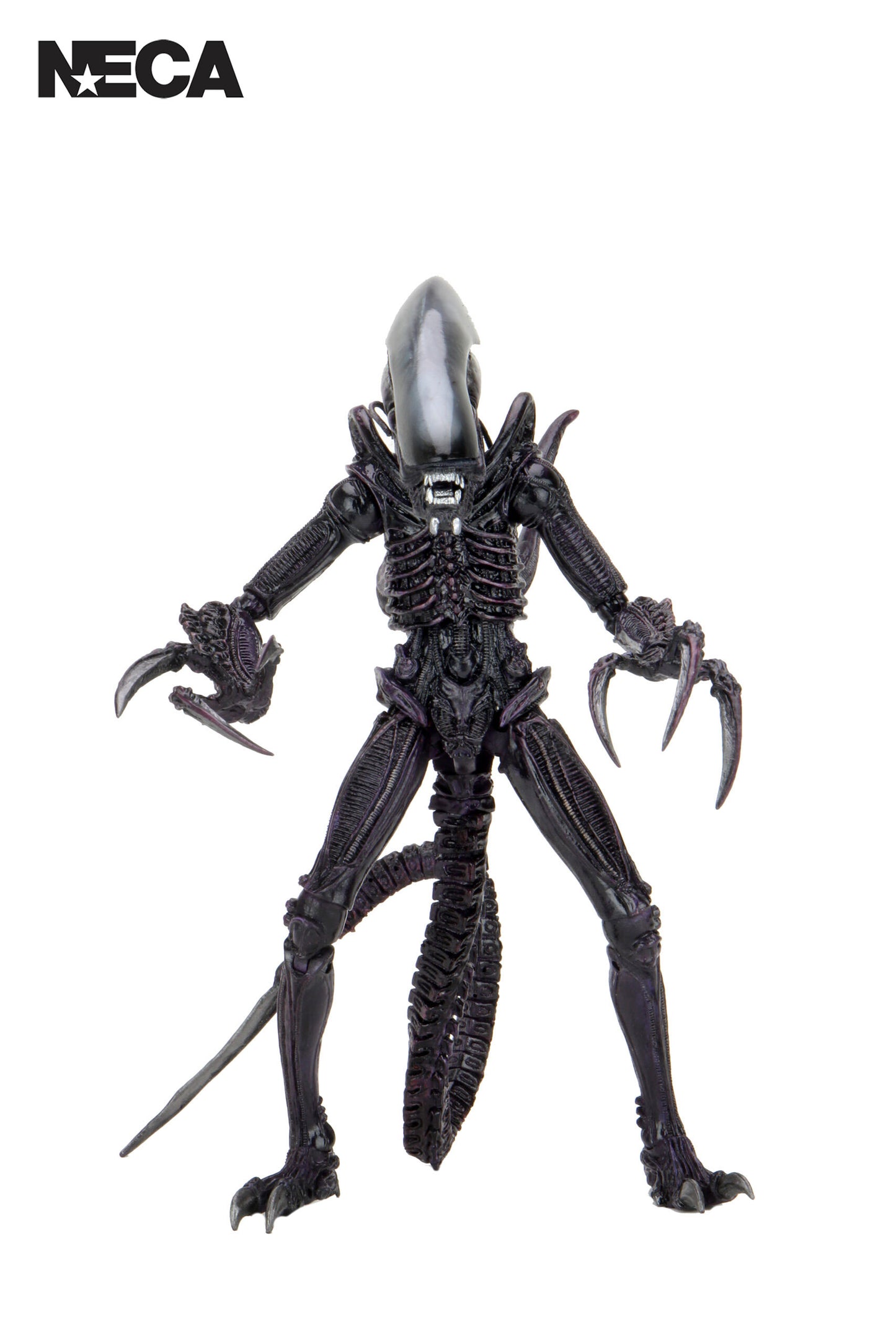 ALIEN VS PREDATOR - RAZOR CLAWS 7" ACTION FIGURE