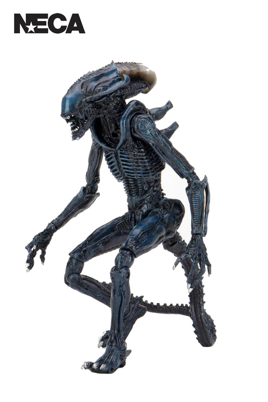 Aliens Arachnoid Alien Action Figure