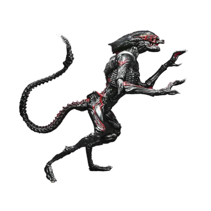 Ultimate Night Cougar Alien (Kenner Tribute)