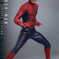 Spider-Man (2002) - Spider-Man (Battle Damaged Version) 1/6th Scale Hot Toys Action Figure **Pre-order**