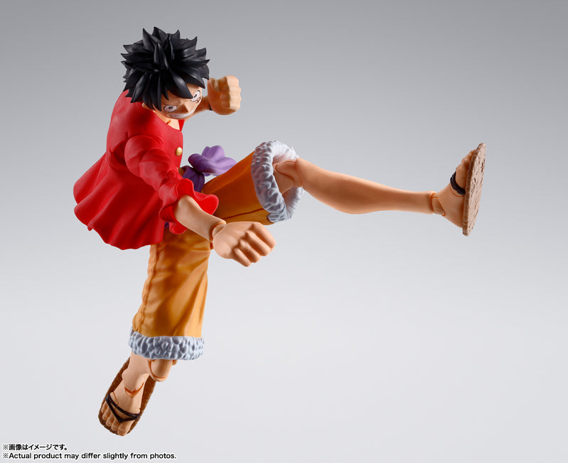 S.H.FIGUARTS MONKEY D. LUFFY -THE RAID ON ONIGASHIMA