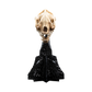 The Lord of the Rings - Skull of a Warg Miniature