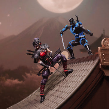 G.I. Joe Classified Series #223, Ninja Force Snake Eyes & Kim "Jinx" Arashikage