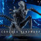 Hot Toys MMS784 Alien: Romulus - Scorched Xenomorph 1/6th Scale Collectible Figure