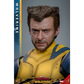 Deadpool & Wolverine - Wolverine Deluxe 1:6 Scale Collectable Action Figure