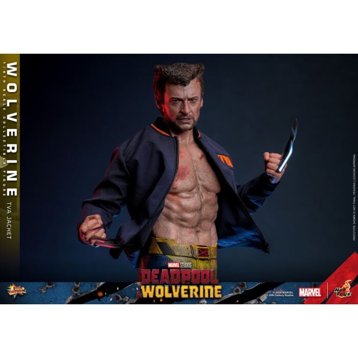 Deadpool & Wolverine (2024) - Wolverine (TVA Jacket Version) 1/6th Scale Hot Toys Action Figure