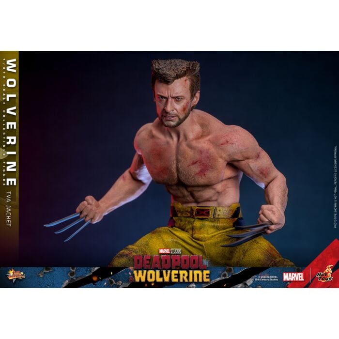 Deadpool & Wolverine (2024) - Wolverine (TVA Jacket Version) 1/6th Scale Hot Toys Action Figure