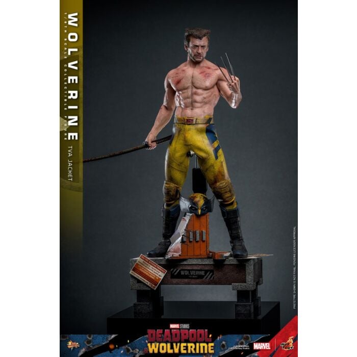 Deadpool & Wolverine (2024) - Wolverine (TVA Jacket Version) 1/6th Scale Hot Toys Action Figure