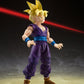 S.H.FIGUARTS Dragon Ball Z Super Saiyan Son Gohan-The Fighter Who Surpassed Goku-