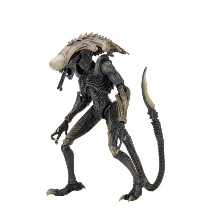 Aliens - Chrysalis Alien 7" Scale Action Figure