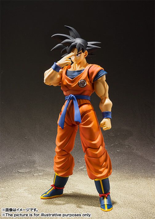S.H.FIGUARTS Dragon Ball Son Goku: A Saiyan Raised On Earth