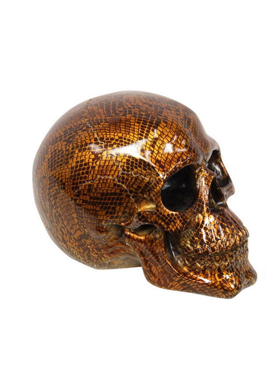 Skull with snake skin (Golden)