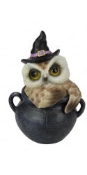 Witch owl in black cauldron