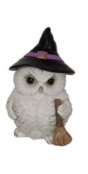 Witch owl with broom stick