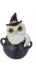 Witch owl in black cauldron