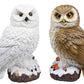 26cm Realistic Owl on Base